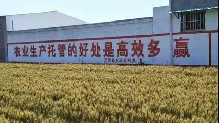 農業托管模式再啟新篇 45億補貼落地，六成紅利直抵農民腰包